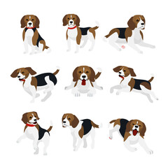 Vector illustration set of cute and funny beagle dog, lively actions, playing, jumping dogs in flat design. - obrazy, fototapety, plakaty