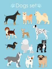 Vector illustration, set of funny purebred dogs, on a light blue background.