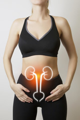 woman body with visualisation of kidneys and bladder