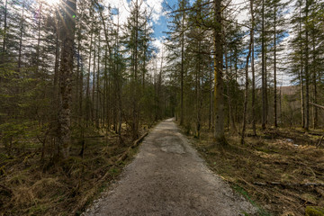 Obraz premium Almsee