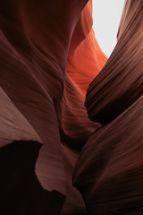 Canyon Lower Anteloppe