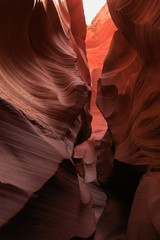Canyon Lower Anteloppe