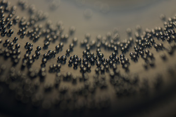 Bubbles