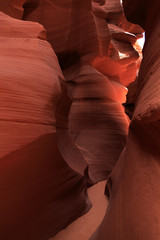 Canyon Lower Anteloppe
