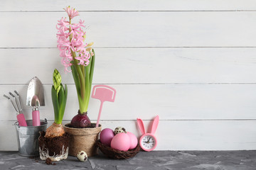 Easter still life. Pink hyacinth in a pot and Easter eggs in a nest on a white background