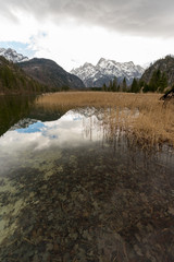 Almsee mit Schilf und totem Gebirge