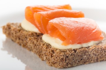 Salmon.