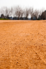 big orange land and brown trees in winter