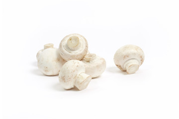 Champignon mushrooms close-up isolated on a white background