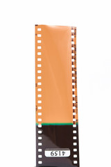 Photo film negative isolated on white background