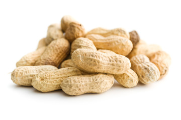 The unpeeled peanuts.