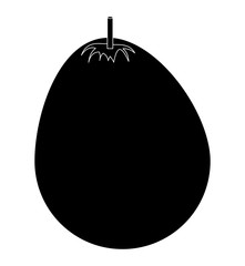 mango fruit icon over white background, vector illustration