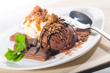 Vanilla and Chocolate Ice Cream Scoops