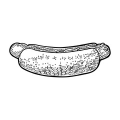 Hotdog. Isolated on white background.