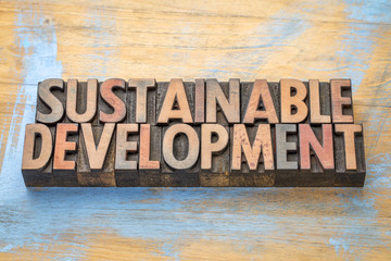 sustainable development - word abstract in wood type