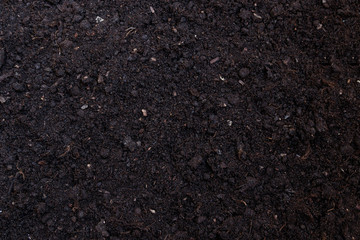 Soil texture or background seen from above, top view
