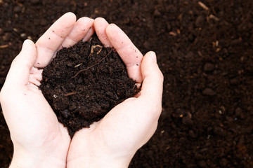 Man farmer holding soil. Earth day and ecology concept
