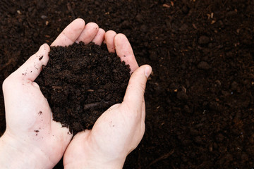 Man farmer holding soil. Earth day and ecology concept