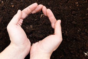 Man farmer holding soil. Earth day and ecology concept