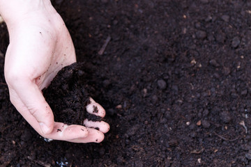 Man farmer holding soil. Earth day and ecology concept