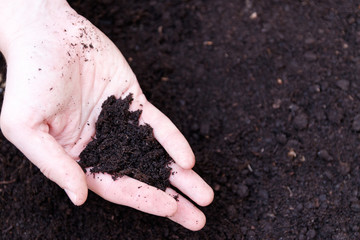 Man farmer holding soil. Earth day and ecology concept