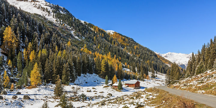Bergwald mit Fichten und L&auml;rchen im Dischmatal bei Davos in Graub&uuml;nden, Schweiz. Im Herbst nach Schneefall. 