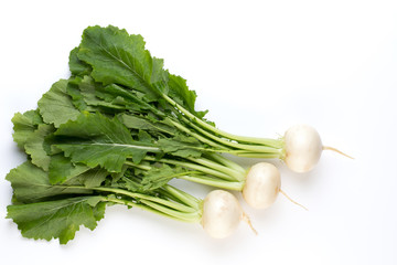 Fresh white round turnip radish on white background.