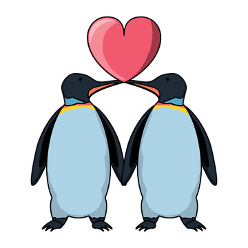 cute couple of penguis with heart icon over white background, colorfu design. vector illustration