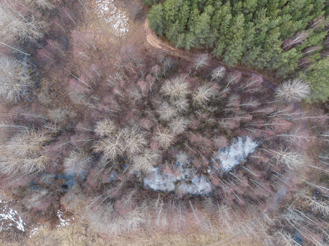 View of the autumn forest in Karelia with quadrocopter