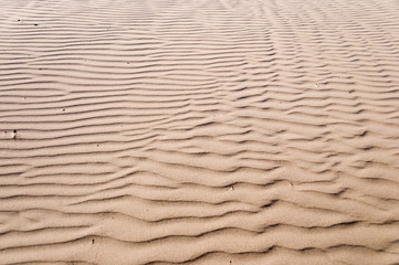 Oceano Dunes State Vehicular Recreation Area in California