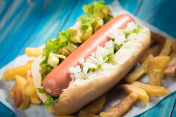 Classic american hot dog