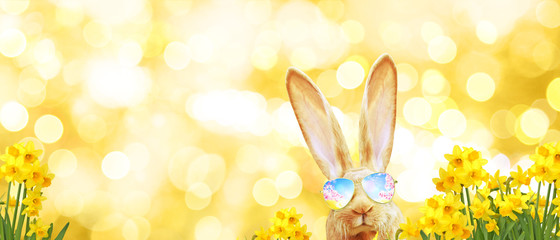 Frohe Ostern!