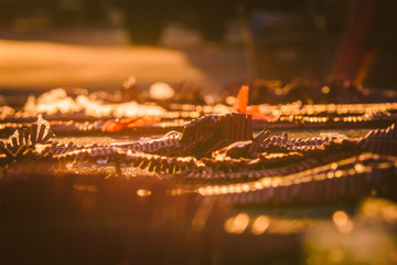 Strands of firecrackers laying on ground