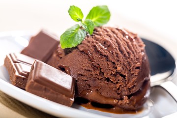 Chocolate Ice Cream Scoop