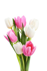 Bouquet of tulips isolated on white background