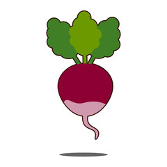 Beet icons in flat style. Beetroot vector editable image, style isolated on white background illustration EPS