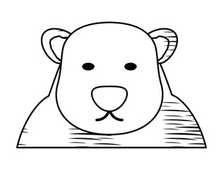 sketch of polar bear icon over white background, vector illustration