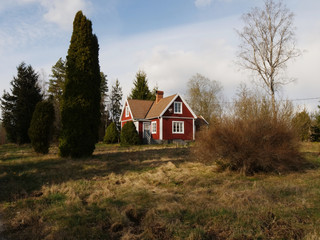 Red wooden cabin in the swedish woods