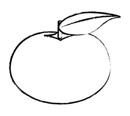 sketch of tangerine segments icon over white background, vector illustration