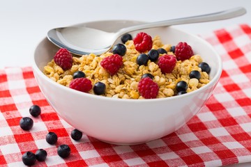 Bowl of Granola, Blueberries and Raspberries