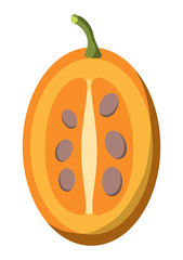 slice of tree tomato fruit icon  over white background, colorful design. vector illustration