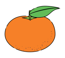 tangerine segments icon over white background, colorful design. vector illustration