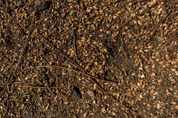 Texture solid reddish brown as a background