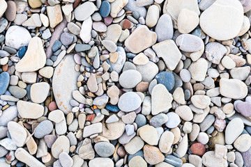 large grey pebble occupies the entire space of the frame, colorfull