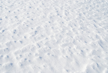 Obraz premium 冬 雪 テクスチャ 素材