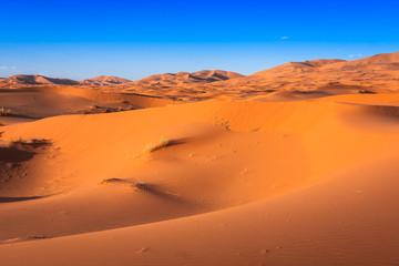 Fototapeta na wymiar Desert dune at Erg Chebbi near Merzouga in Morocco.