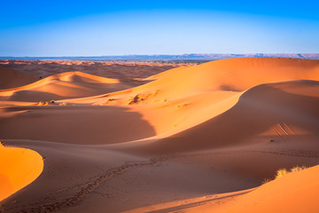 Fototapeta na wymiar Sand dunes in the Sahara Desert, Merzouga, Morocco