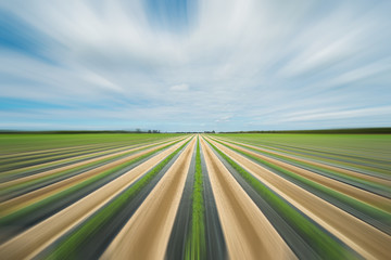 Agriculture field with motion blur
