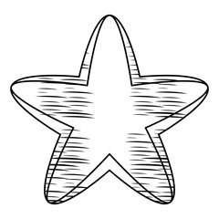 carambola or stair fruit icon over white background, vector illustration