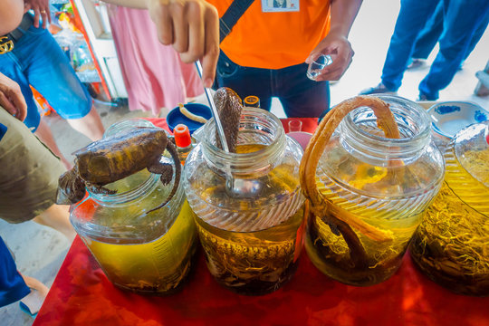 Close up of dead turtle and snakes over a whiskey flask, prepared by locals on an island off the coast of Laos, at the Golden Triangle Special Economic Zone Chinatown